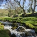 Tumbling stream in the Dales by yorkshirelady
