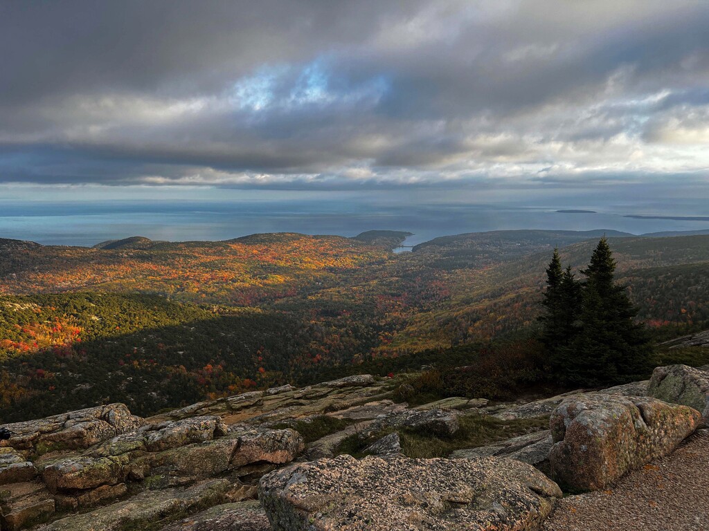 The view from Cadillac Mountain by berelaxed