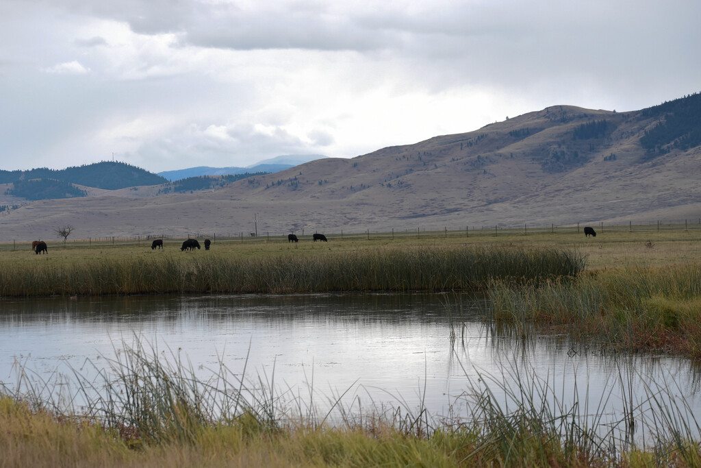 Rural Montana by bjywamer