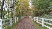 11th Oct 2021 - Bike Trail in the Fall