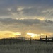 Sunset Colorado by dianefalconer