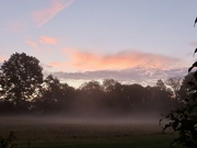 14th Oct 2021 - Misty morning 