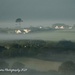 Morning Mist Cornwall by nigelrogers