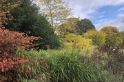 15th Oct 2021 -  Hergest Croft -  A Different View 