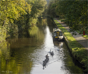 15th Oct 2021 - Canal reflections