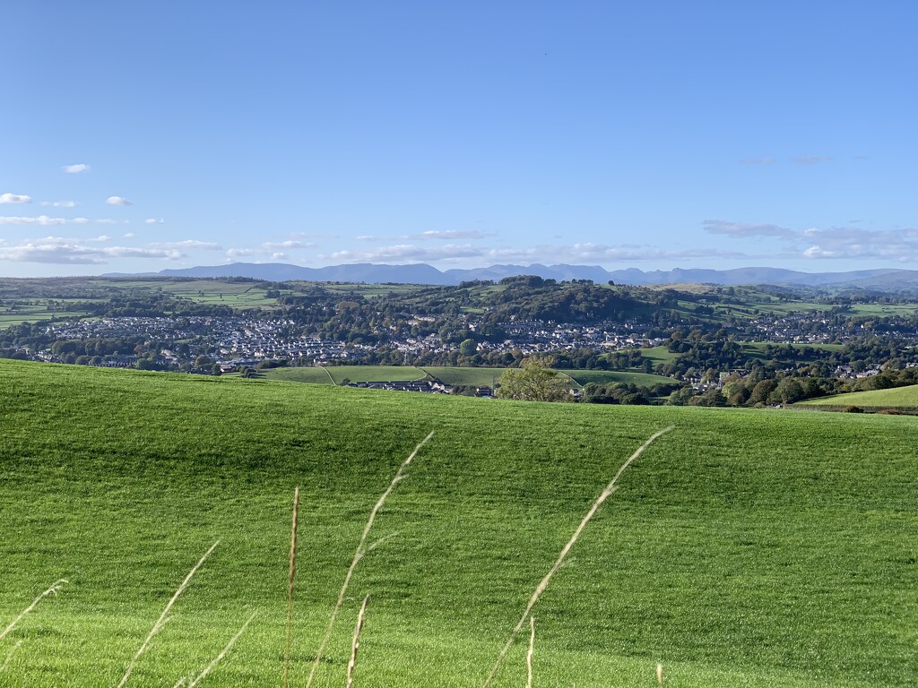 Kendal seen from New Hutton by happypat