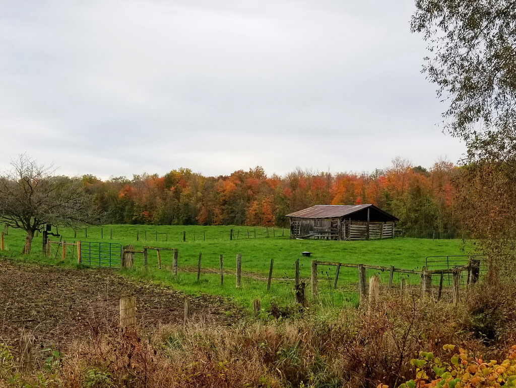 Field shelter in autumn by ljmanning