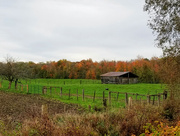15th Oct 2021 - Field shelter in autumn