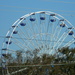 Ferris Wheel by sfeldphotos