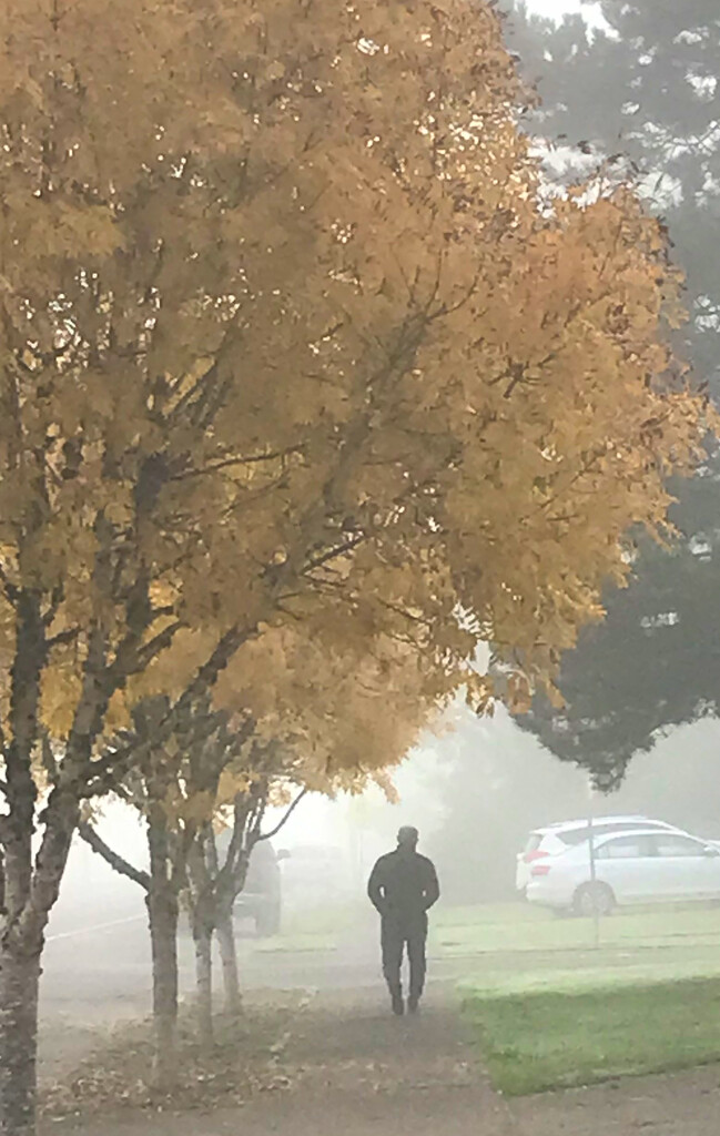 Fog Walking by joysabin