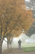 14th Oct 2021 - Fog Walking