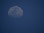 15th Oct 2021 - blue Moon