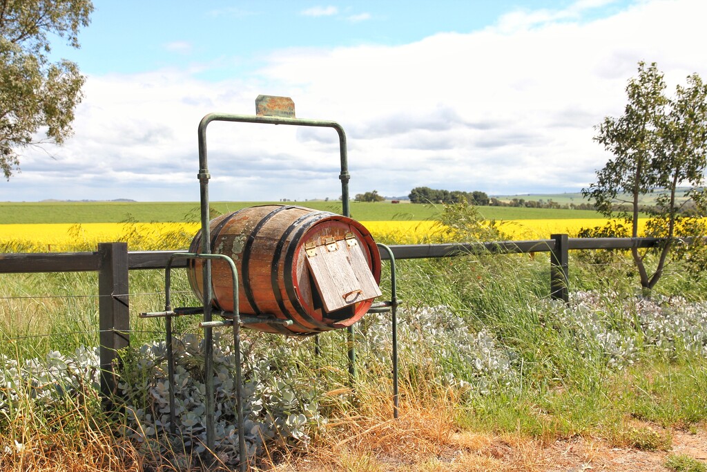 The wine barrel letterbox by leggzy