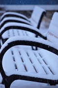 18th Jan 2011 - Fresh snow and a bench