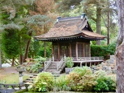 16th Oct 2021 - In the Japanese Garden
