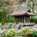 In the Japanese Garden by orchid99