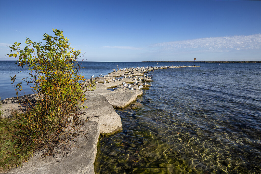 Sibbald Point Provincial Park by pdulis