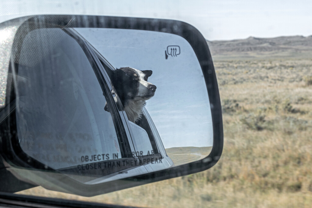Life in the Rear View Mirror by farmreporter