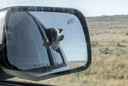 27th Sep 2021 - Life in the Rear View Mirror