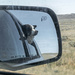 Life in the Rear View Mirror by farmreporter