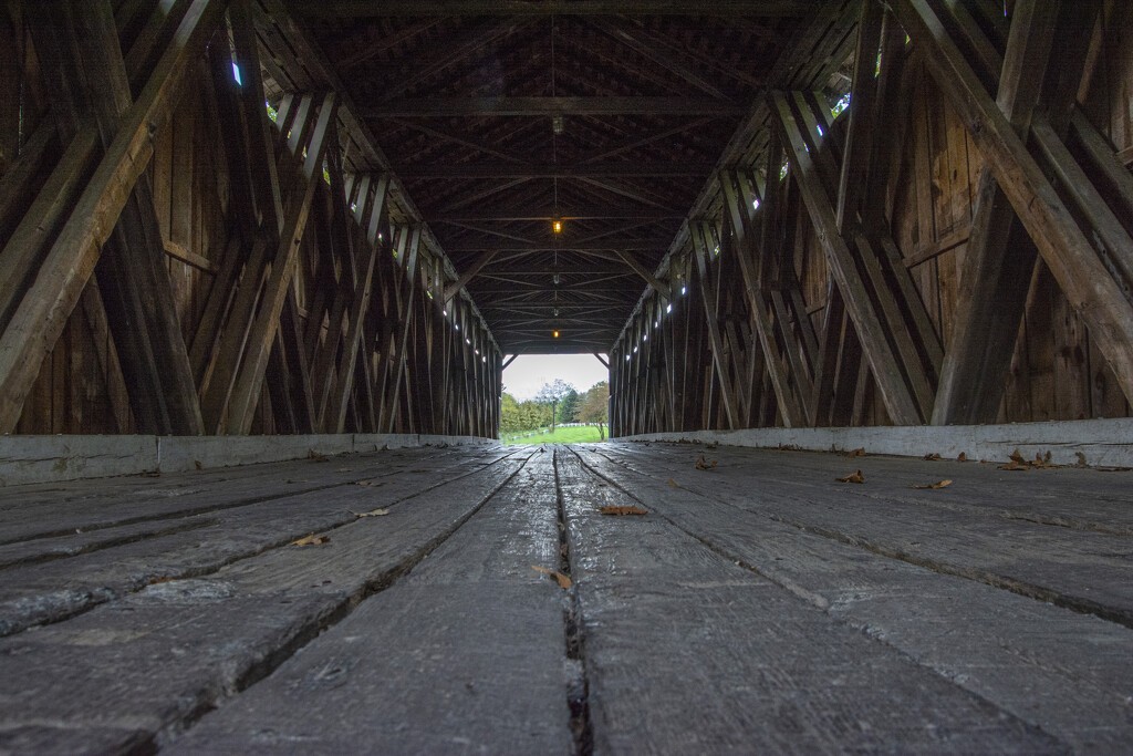 Lines In The Bridge by cwbill