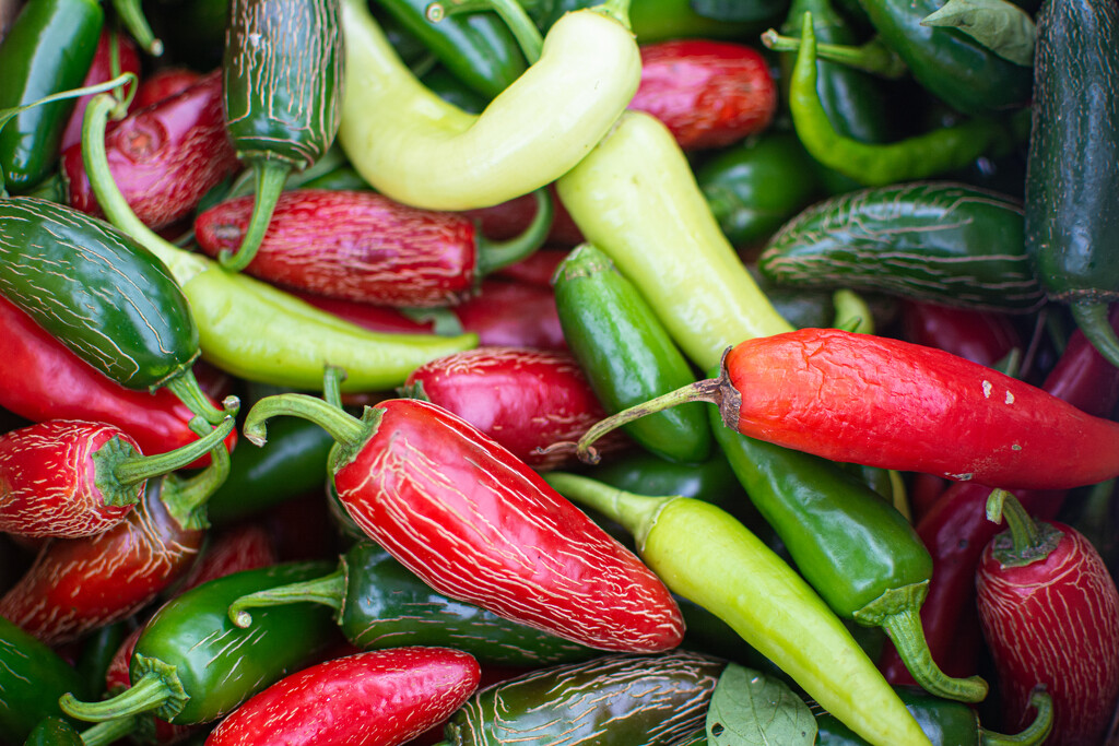 Peppers... by thewatersphotos