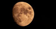 16th Oct 2021 - I Waited, and the Moon Came Back Out!