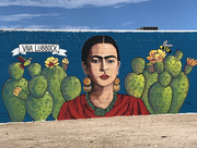 17th Oct 2021 - Frida Kahlo