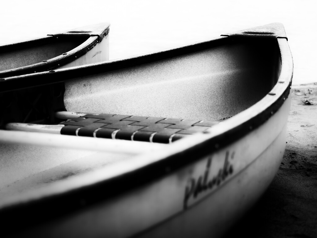 canoes by northy