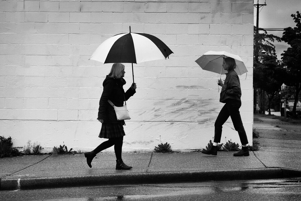 Walking in the Rain by cdcook48