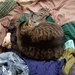 The reason laundry isn't getting done. by scoobylou