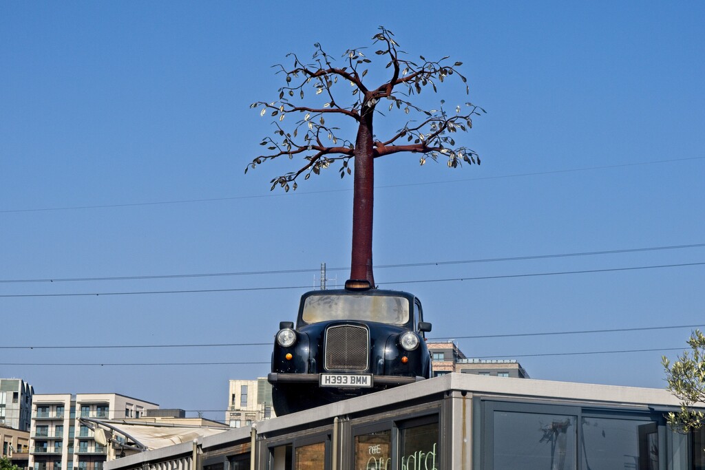 Cab Tree Sculpture by billyboy