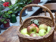 18th Oct 2021 - A lovely sample from the orchard