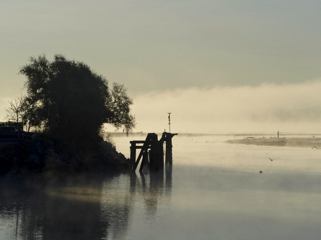 Foggy Morning on the Estuary by mitchell304