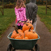 Pumpkin Picking by tina_mac