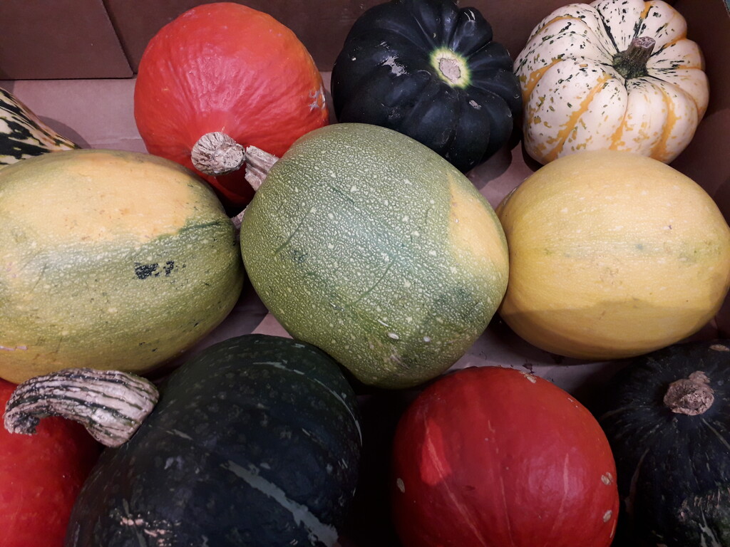 Supermarket display of Autumn  by yorkshirelady