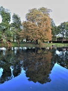 6th Oct 2021 - Autumn Reflections 2