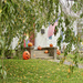 Halloween in Proctor VT by corinnec