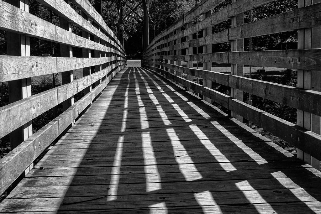 Lines and Shadows by milaniet