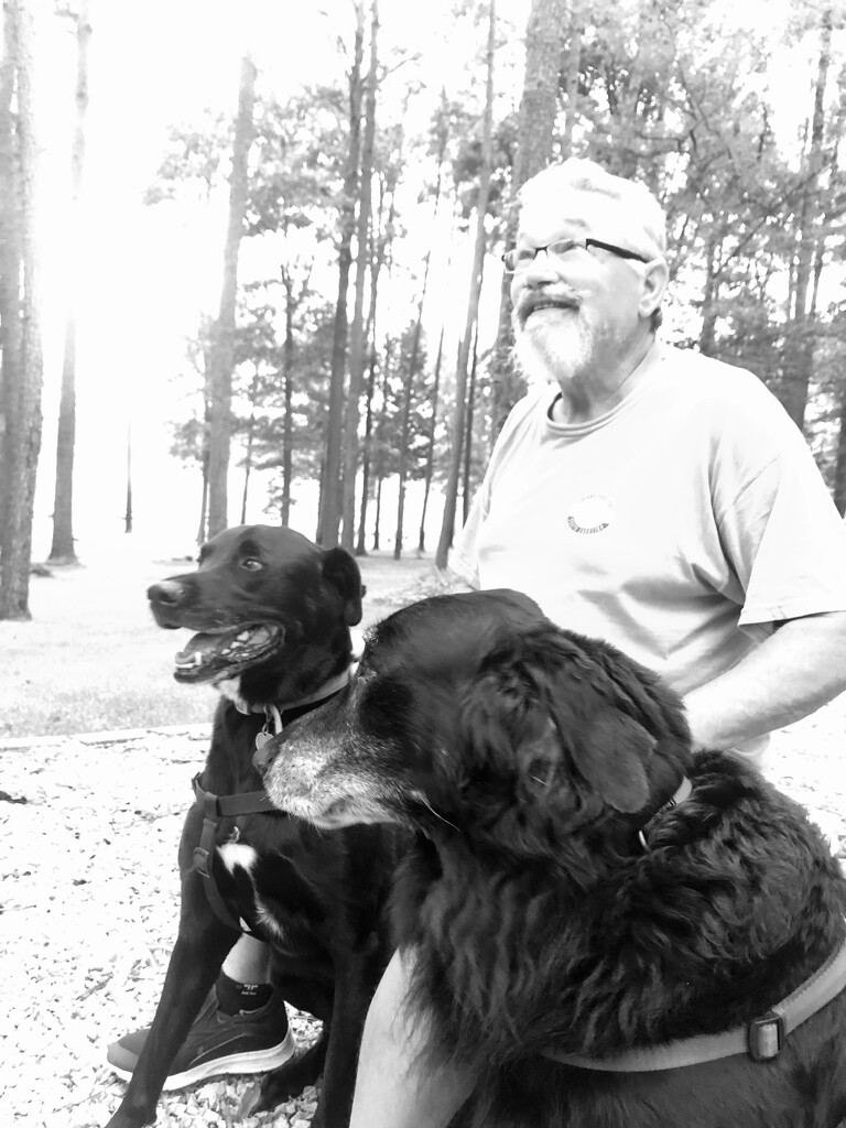 An old man and his dogs.. by kaylynn2150