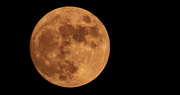 19th Oct 2021 - Almost Full Moon!