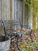 19th Oct 2021 - Rarely Used Bench