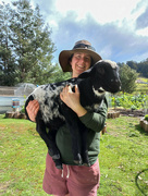 12th Oct 2021 - Sarah and her pet sheep