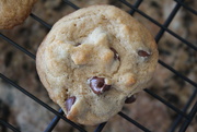 20th Oct 2021 - Cooling cookie