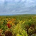 Fall peak in New England