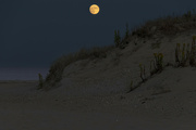 19th Oct 2021 - Moon Dune