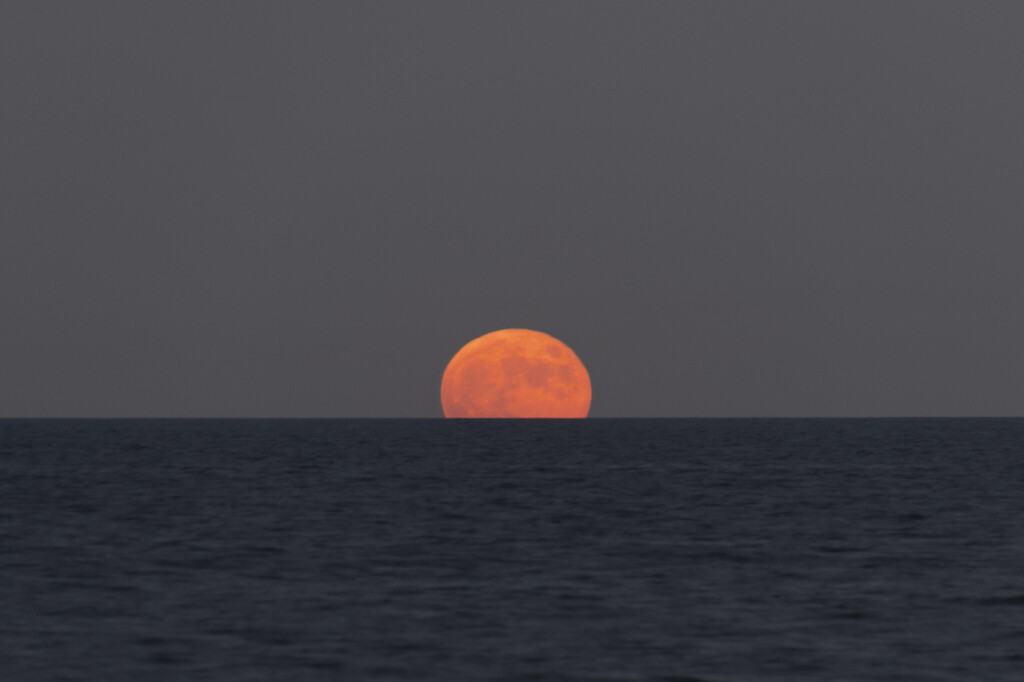 Hunter's Moonrise by timerskine