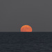 Hunter's Moonrise by timerskine
