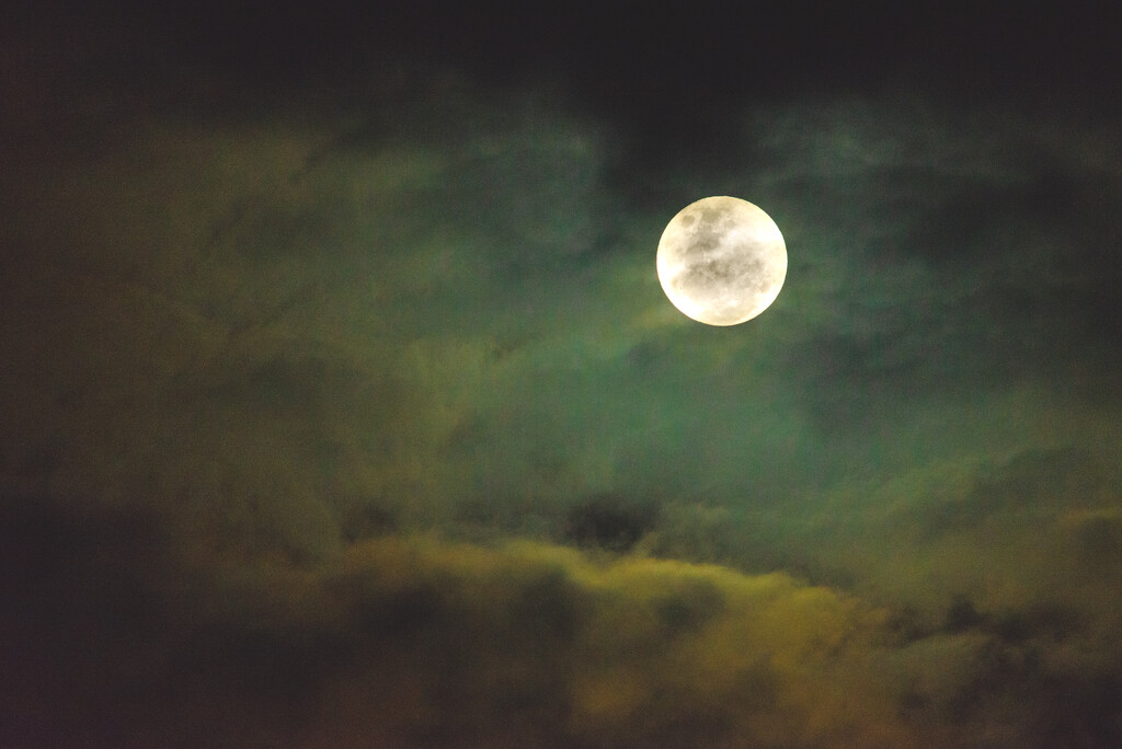 Moon Night by yaorenliu