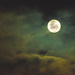 Moon Night by yaorenliu